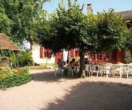 Cardamome Saligny-sur-Roudon